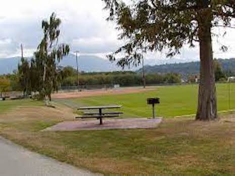 Beyond Fun and Games: How Skagit's Parks and Recreation Drive Economic Growth Photo
