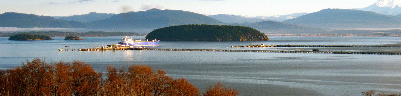 Banner for Skagit County Economic Recovery Plan