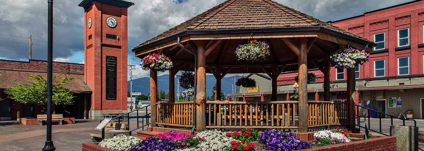 Banner for Demographic Data