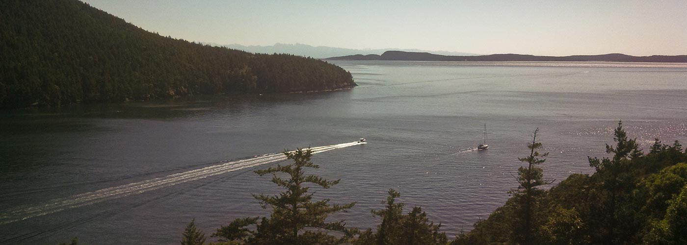 Banner for Community Overview