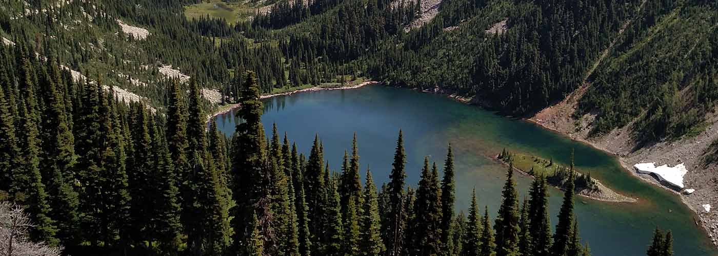 for international partners