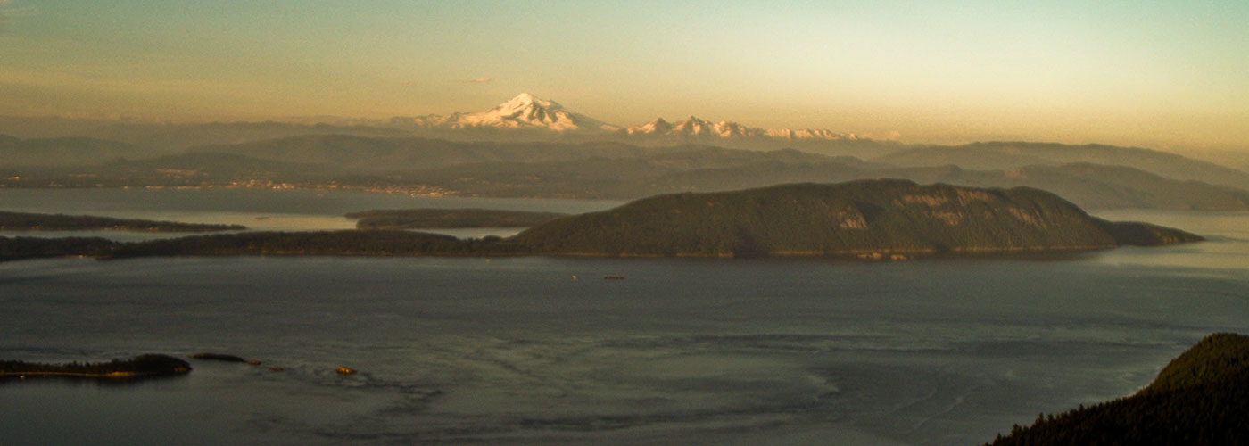 sign up for our newsletter